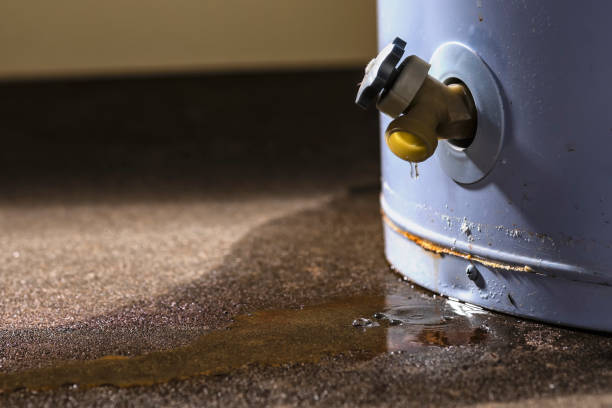 Best Flood damage cleanup  in Emporia, KS