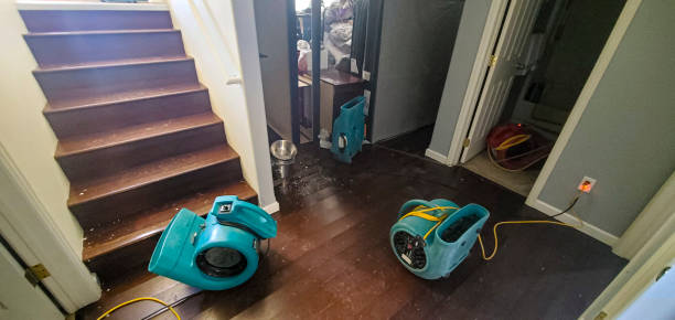 Best Water damage repair service  in Emporia, KS