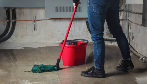 Best Sewage cleanup and water damage restoration  in Emporia, KS