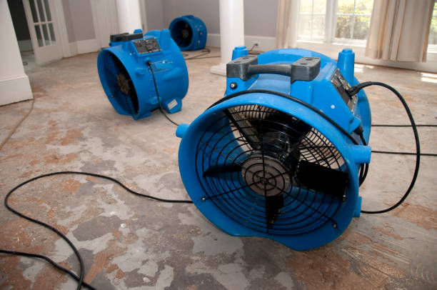 Best Water damage restoration process  in Emporia, KS