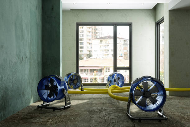 Best Basement water damage restoration  in Emporia, KS