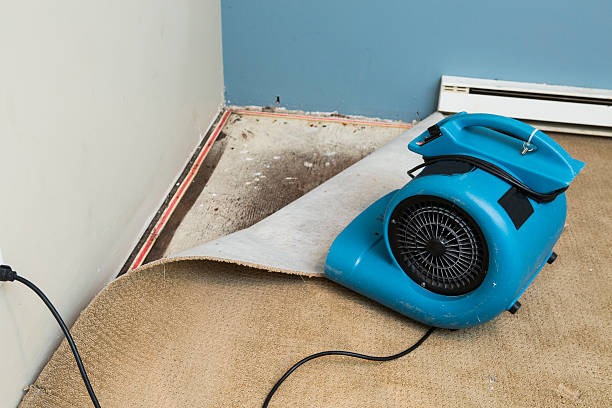 Best Fire Damage Restoration  in Emporia, KS