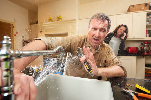 Best Flooded house restoration  in Emporia, KS